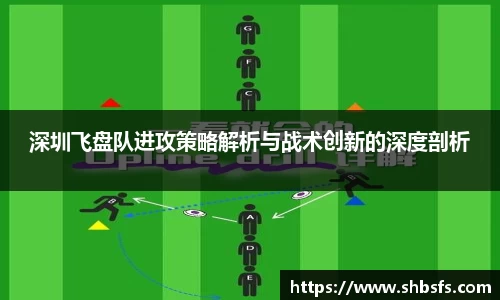 深圳飞盘队进攻策略解析与战术创新的深度剖析